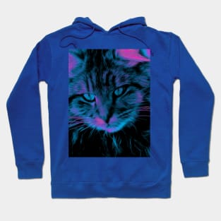 Curious Cat - Maine Coon Cat Hoodie